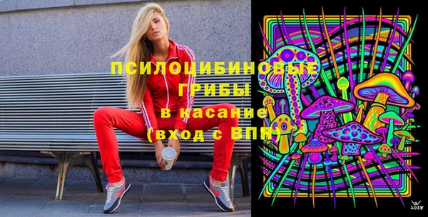 PSILOCYBIN Баксан